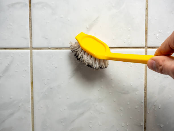 Best Fast Mold Removal  in Haven, KS