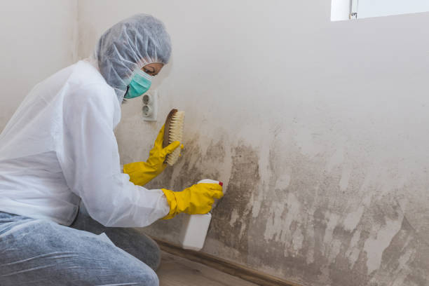 Best Crawl Space Mold Removal  in Haven, KS