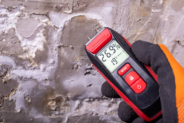 Best Certified Mold Removal  in Haven, KS