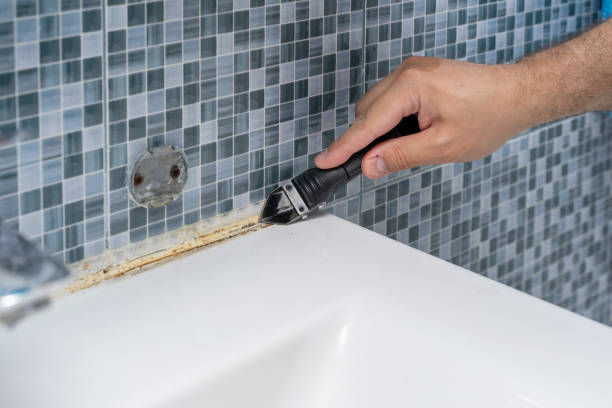 Best Mold Damage Repair  in Haven, KS