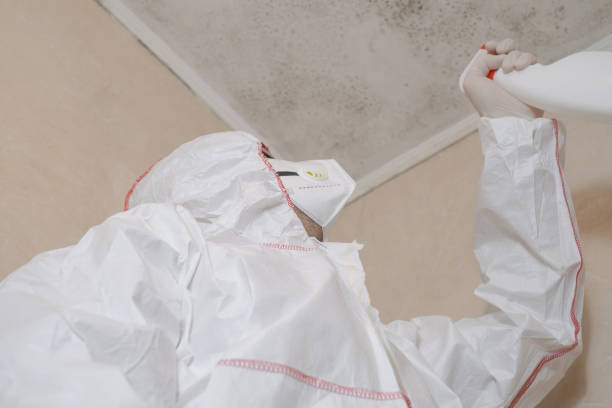 Best Toxic Mold Removal  in Haven, KS